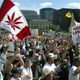 Around 1,000 protesters showed up for the Fill the Hill rally in support of legalizing marijuana on June 5, 2004 on Parliament Hill in Ottawa, Canada.
